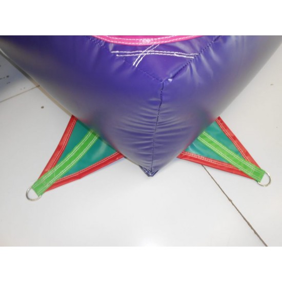 Disney Fairies Tinkerbell Bounce House Disney Fairies Tinkerbell Bounce House