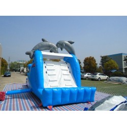 Inflatable Dolphin Slide Inflatable Dolphin Slide