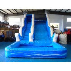 Inflatable Dolphin Water Slide Inflatable Dolphin Water Slide