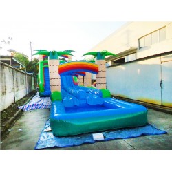 Inflatable Dual Lane Tropical Water Slide Inflatable Dual Lane Tropical Water Slide